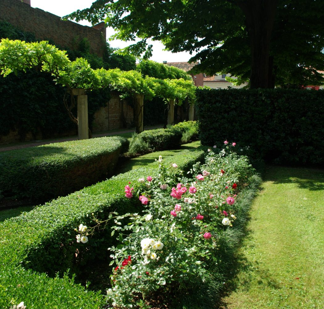 IMGP8192